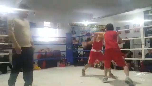 +18 только возраст Самаркандский чемпион Acer чемпионов араб хона хишрав каримбек абдунабев ?