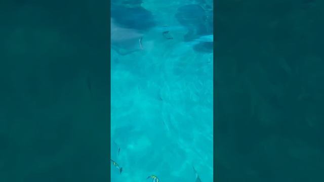 #путешествие #пхукет #отдых смотреть онлайн