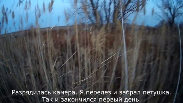 Охота на фазана (Алматинская область) 13-14.11.2021 смотреть онлайн