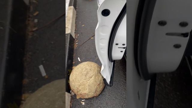 Geely Tugella клиренс 21см. смотреть онлайн