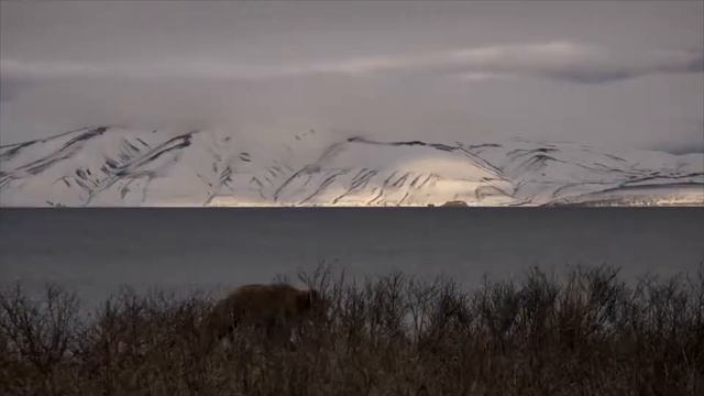 Путешествие по России. Заповедник Столбы смотреть онлайн