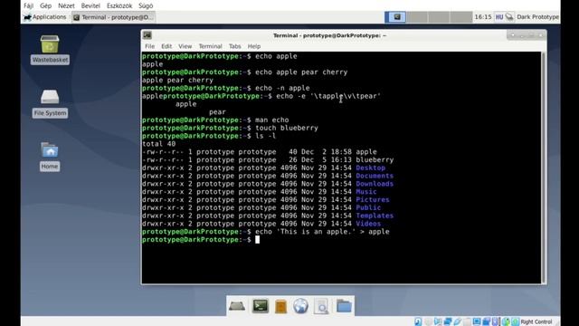 Linux commands for beginners - echo & touch & cat смотреть онлайн