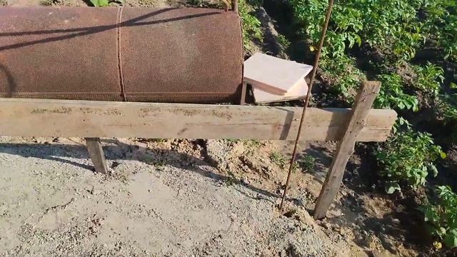 отмостка 5 день