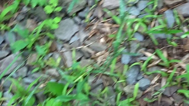 МОРЕ УЛИТОК / 18.05.16 смотреть онлайн