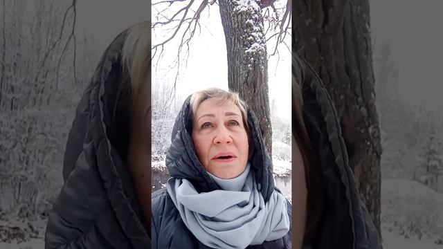 пишу стихи и песни.Вот и зима. смотреть онлайн