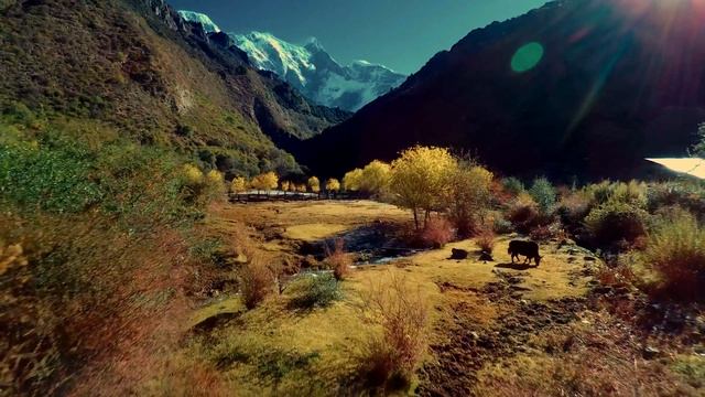 Тибет смотреть онлайн