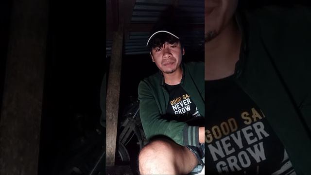BRAD JHONREL ADVENTURE is live! смотреть онлайн