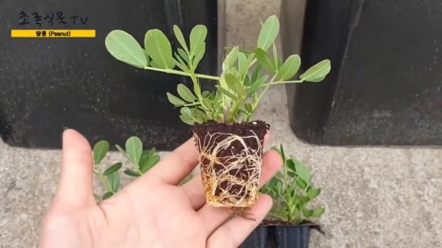 Строительные Идеи