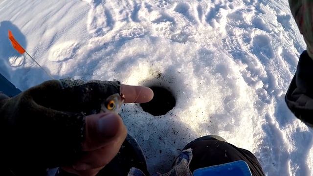 Рыбалка зимой / Играем на соревнованиях смотреть онлайн