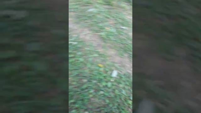 Труп в отравленом озере смотреть онлайн