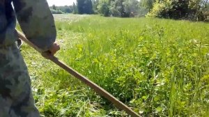 Чем кормить кроликов в домашних условиях