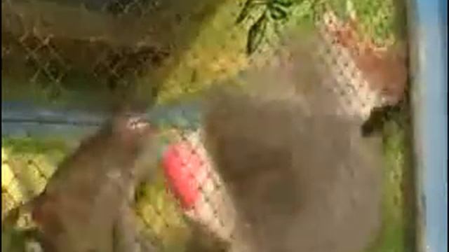 ему бы реп читать))) смотреть онлайн