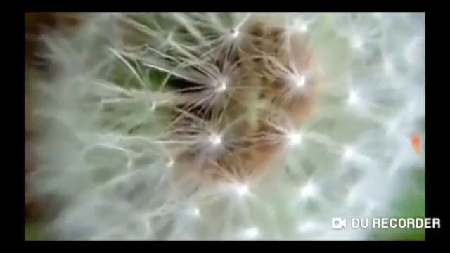 Молдаханова А.Т. Өзін-өзі тану. 3 сынып. смотреть онлайн
