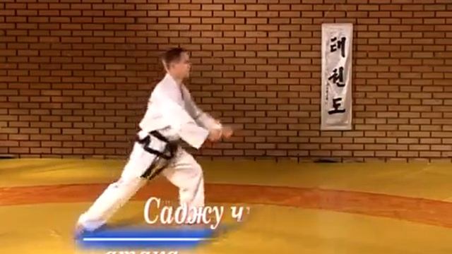 Тхэквондо видеоурок №1 смотреть онлайн