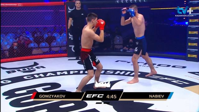 ХАБИБ НАБИЕВ - НИКИТА ГОМЗЯКОВ / EAGLE FIGHTING CHAMPIONSHIP 30 смотреть онлайн