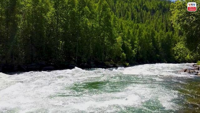 Река Мана // Красивая Сибирская природа // Cнято с КВАДРОКОПТЕРА смотреть онлайн