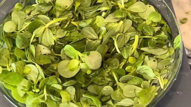 Сад и огород