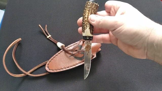 Маленький дракончик(шийник) смотреть онлайн