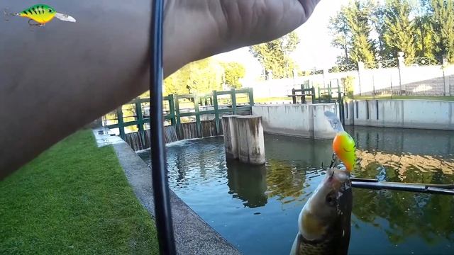 Kasna Avı (Chub Fishing) - 57 смотреть онлайн