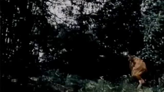 The Track of the African Bongo (The Wonderful World of Disney) 1977 смотреть онлайн