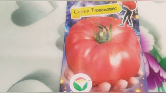 Бифштексные томаты 🍅 Особы королевского рода ❤️ смотреть онлайн