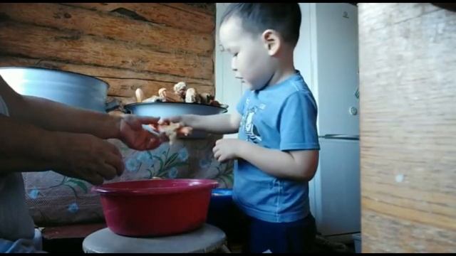 «КАЗ ӨМӘСЕ- 2020» - каз тэпейзэре, село Каныкаево смотреть онлайн