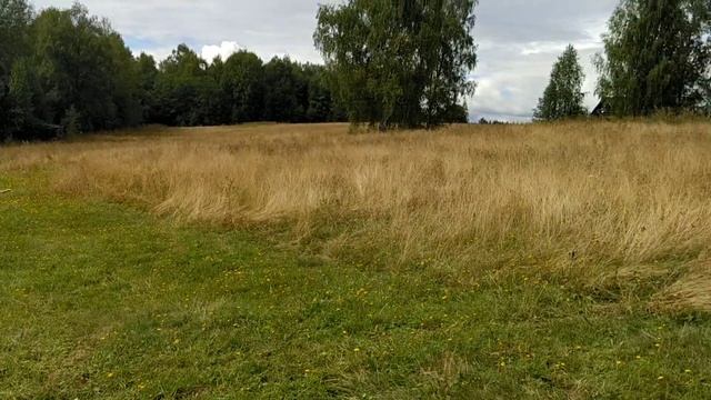 В деревне/Новые прически/Красота/ смотреть онлайн