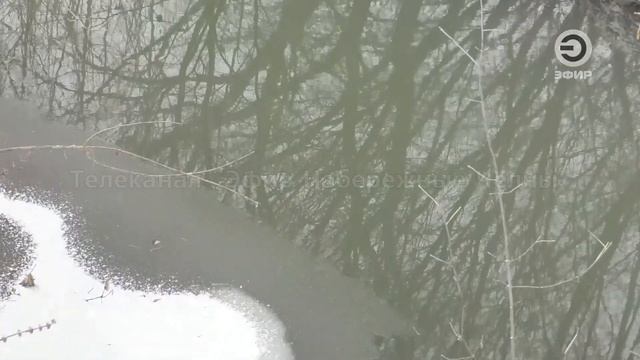 ОТРАВЛЯЮТ ВОДУ, ЗЕМЛЮ, ГУБЯТ ЖИВНОСТЬ. смотреть онлайн