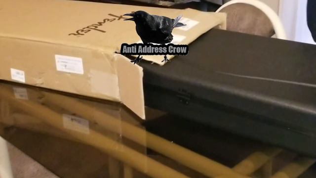 FENDER MOD SHOP EXPERIENCE AND UNBOXING смотреть онлайн