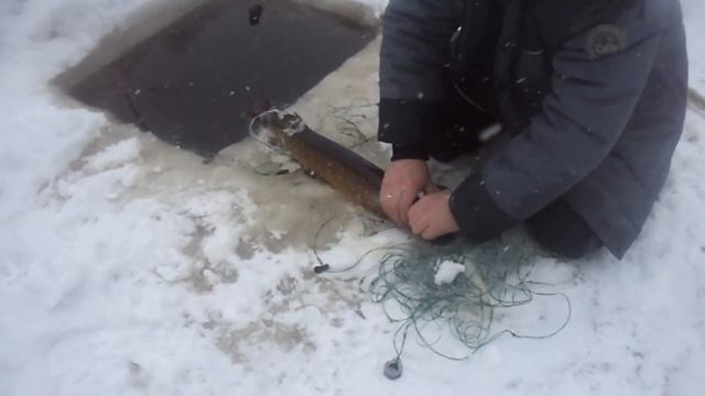 Рыбалка с вольтом на динго 150 смотреть онлайн