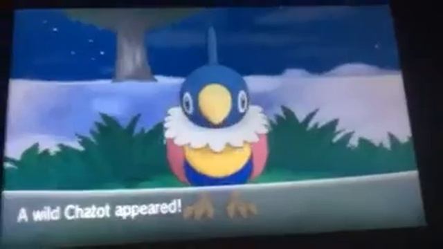 VERY EARLY SHINY! CHAIN 3 Shiny Chatot! Pokemon Y Shiny Hunting #4 смотреть онлайн