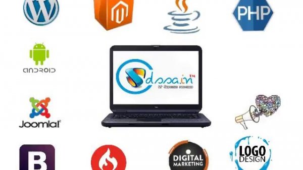 Introducing DNS Software Solution | IT Service provider Indore