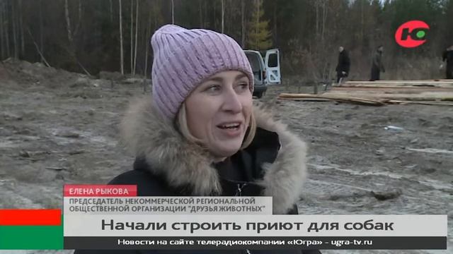 «Друзья животных» строят приют для собак смотреть онлайн