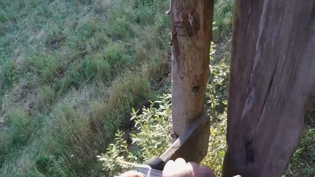 Охота с вышки на медведя и кабана Полезная вещь смотреть онлайн