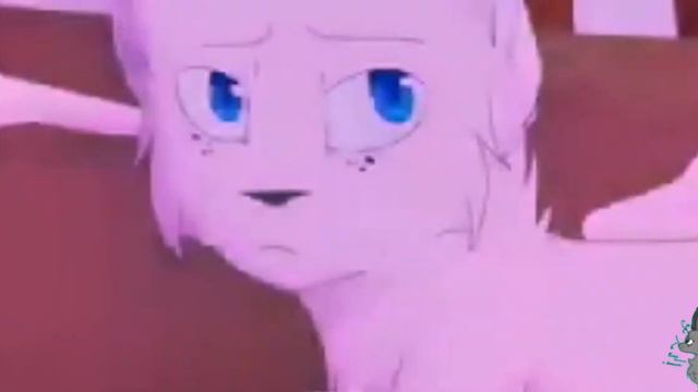 °♡Коты воители~клип ,,Пряталась в ванной,,♡° Очень душевно... смотреть онлайн