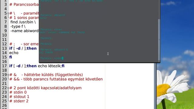 Bash shell szkriptelés - \ ; & && stdin stdout stderr смотреть онлайн