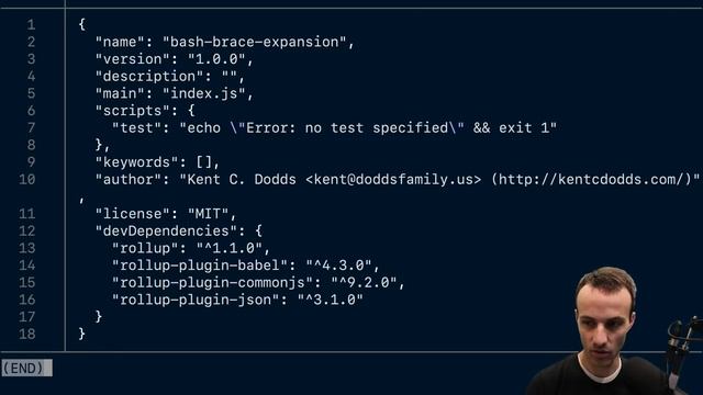 Install multiple similarly-named npm packages using bash brace expansion смотреть онлайн