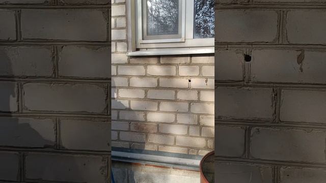 Заполнение воздушного пространства жидким пенопластом ст. Юго-Северная Тихорецкий район