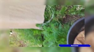 Мастерицы центра «Рассвет» в Лысково вяжут для бойцов СВО мочалки и шьют нарукавники для госпиталей