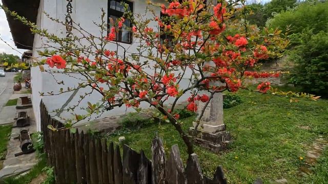 Destination: Hollókő, Hungary - travel video смотреть онлайн