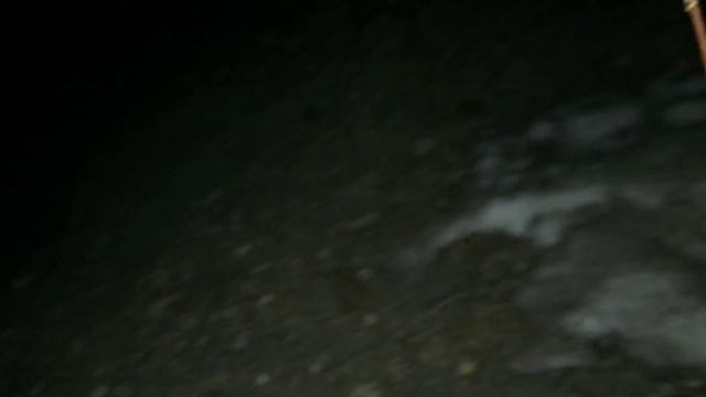 Snow Survival - Bug The Humbug: Week 3 смотреть онлайн