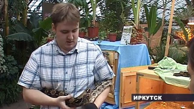 выставка змей в Иркутске смотреть онлайн