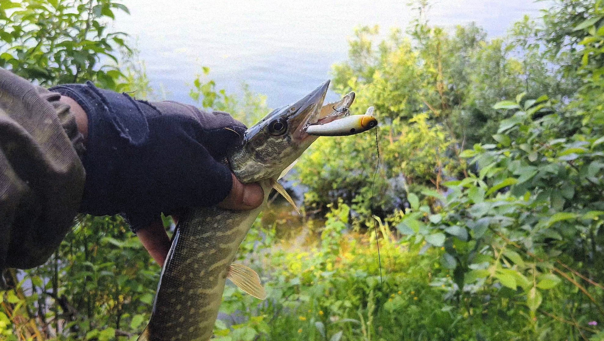 ДВА ДНЯ НА НЕЗНАКОМОМ ОЗЕРЕ #рыбалка на #щуку и #окуня с берега смотреть онлайн