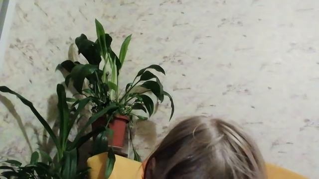 6 ноября 2020 г. смотреть онлайн