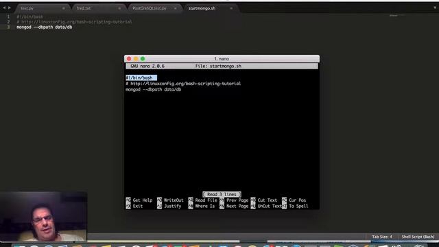 How start NOSQL MongoDB in Linux via shell script смотреть онлайн