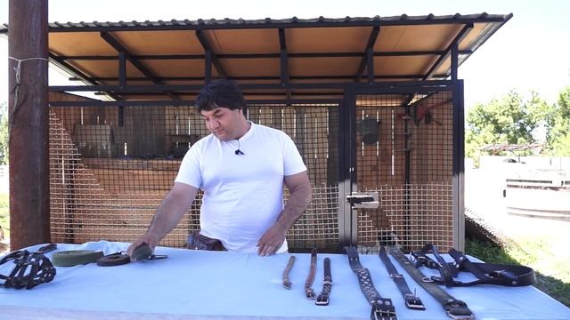 Аксессуары для собак или какие нужны ошейники, поводки и шлейки для ваших волкодавов смотреть онлайн