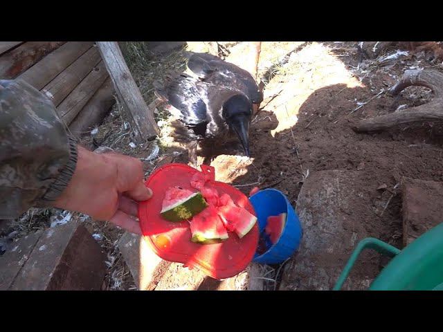 Есть ли душа и каковы доказательства. смотреть онлайн