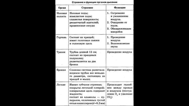 8 класс. Дыхательная система. смотреть онлайн