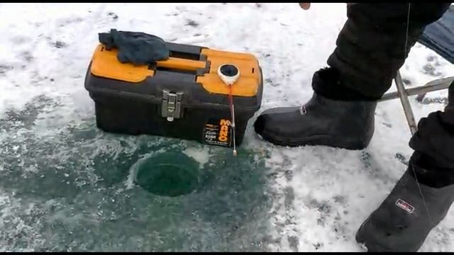 #вобла Капчагай ! КАК ВСЕГДА - КРУПНЯК ! попали на клев !#рыбалка #fishing #лещ #плотва #чебак смотреть онлайн