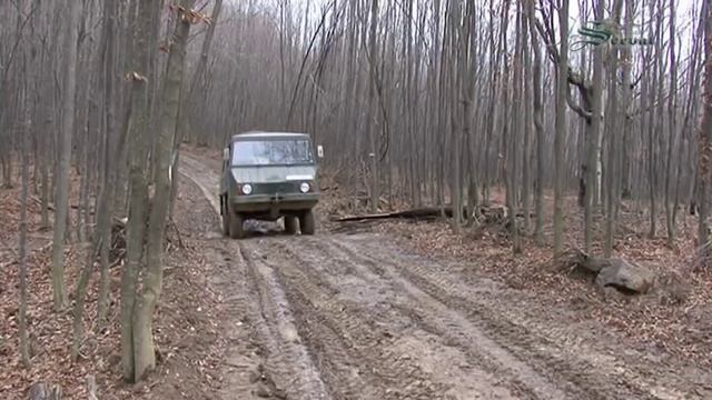 Wild Boar hunting in Bulgaria - part 2 смотреть онлайн